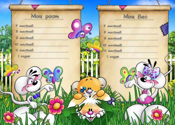 Мой рост мой вес