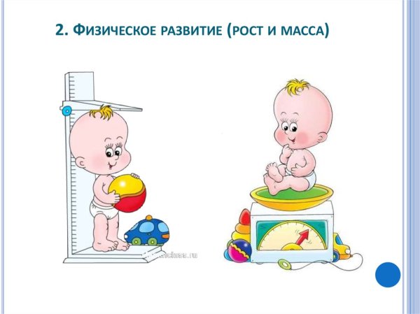 Физическое развитие рост