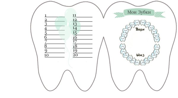 Схема зубов у ребенка для заполнения