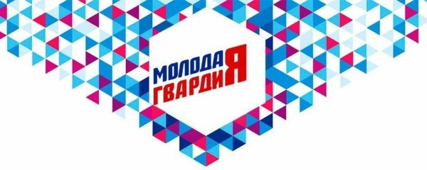 Молодая гвардия Единой России