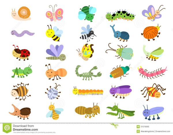 Насекомые летают ползают прыгают