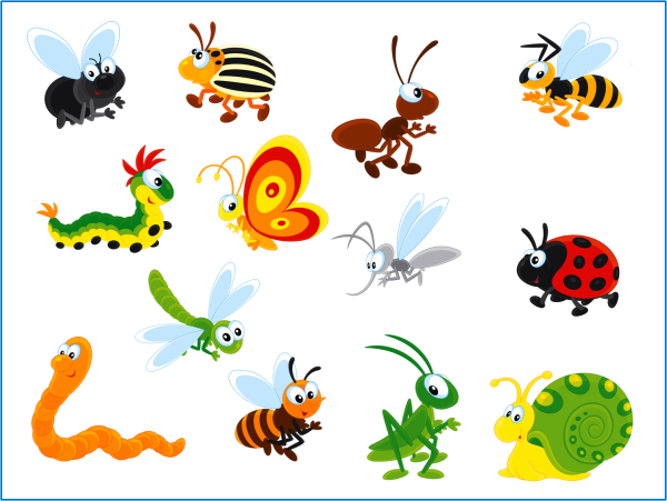 Насекомые для дошкольников