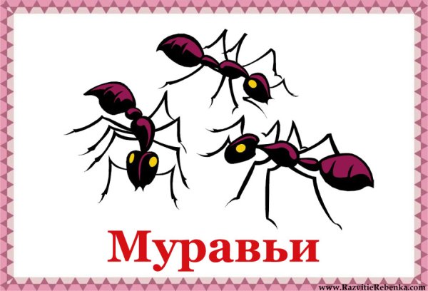 Карточка для детей муравей