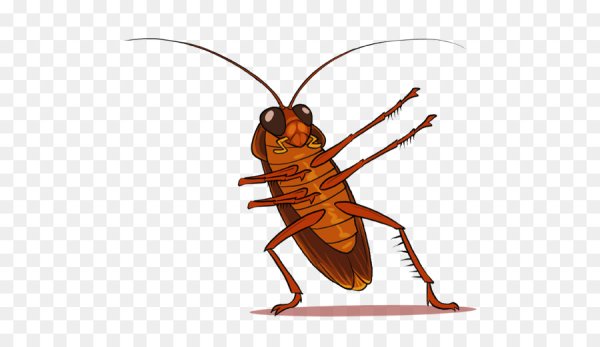 Тараканы мультяшные