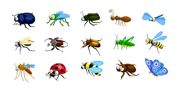 Ползающие насекомые для дошкольников
