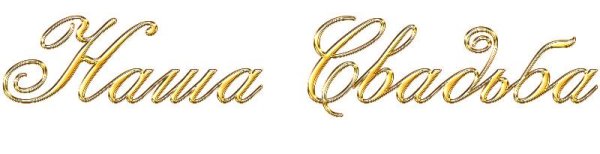 Наша свадьба на прозрачном фоне