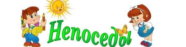 Старшая группа Непоседы