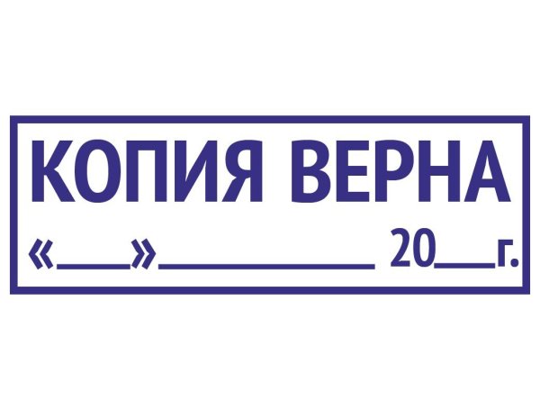 Оттиск копия верна