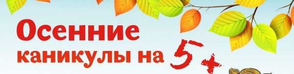 Проект на осенние каникулы