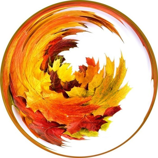 Символы осени