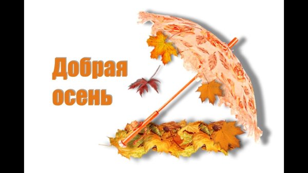 Осень фон для осенней надписи