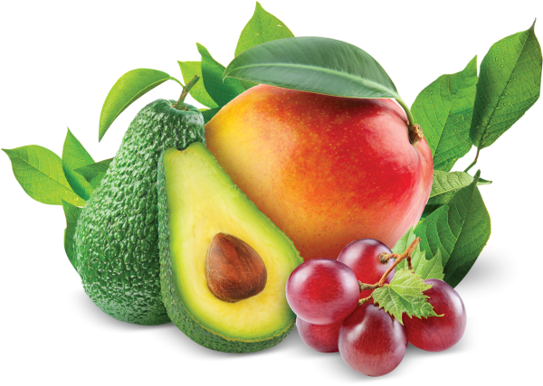 Фрукты на белом фоне