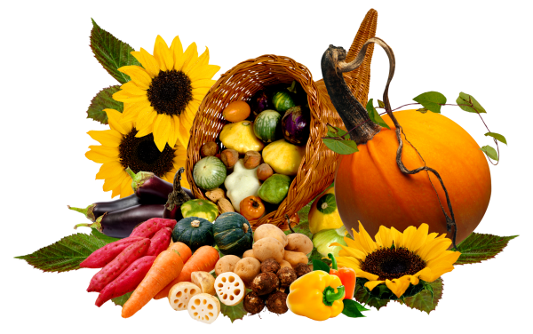 Корзинка с урожаем