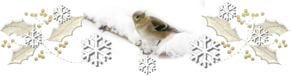 Разделители зимние на прозрачном фоне