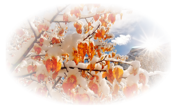 Ноябрь без фона