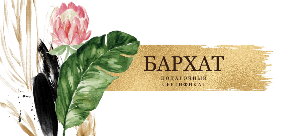 Слово сертификат на прозрачном фоне