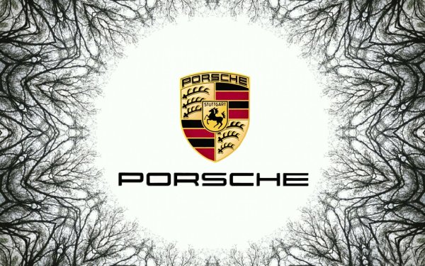 Porsche надпись