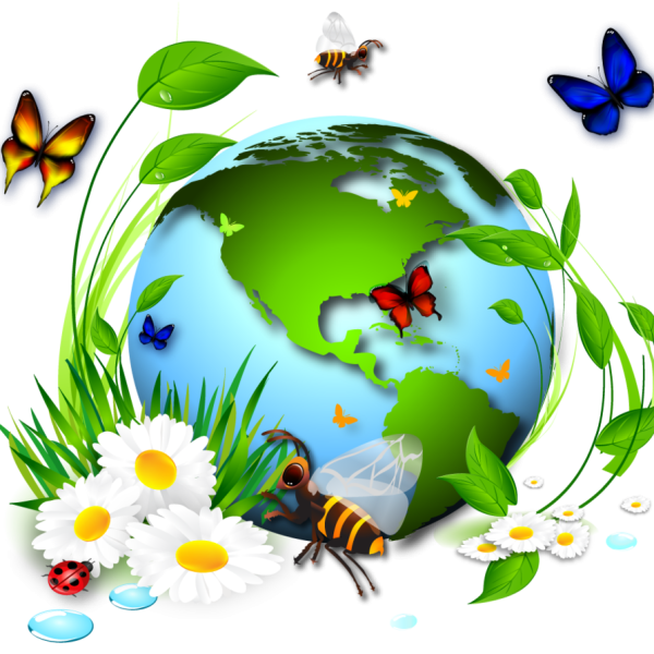 Природа экология