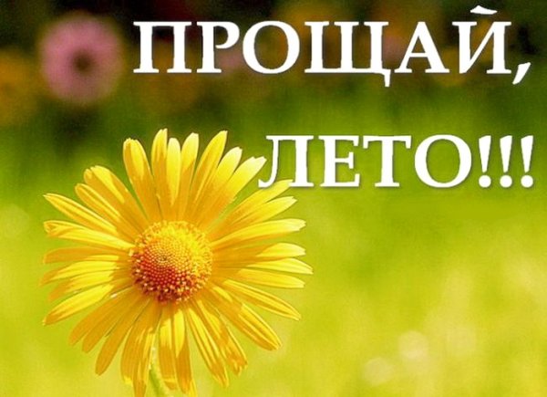 Прощай лето 2022