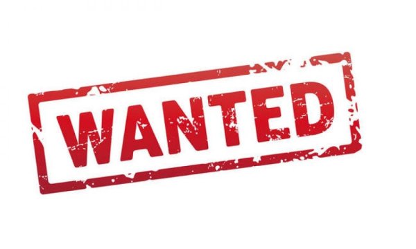 Надпись wanted