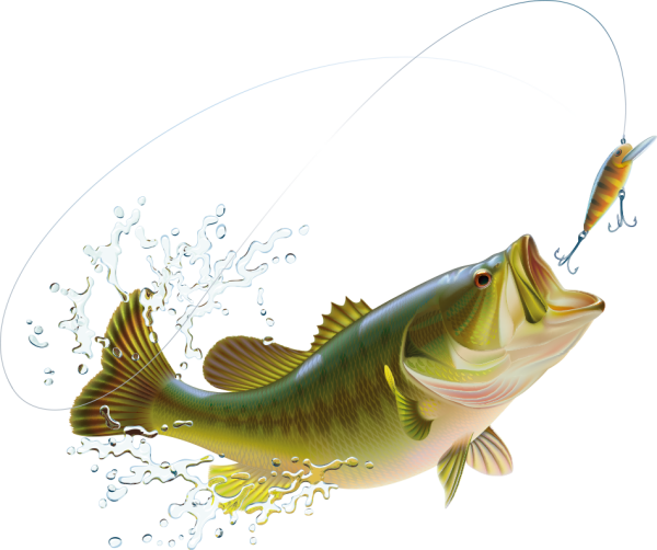 Рыбалка без фона