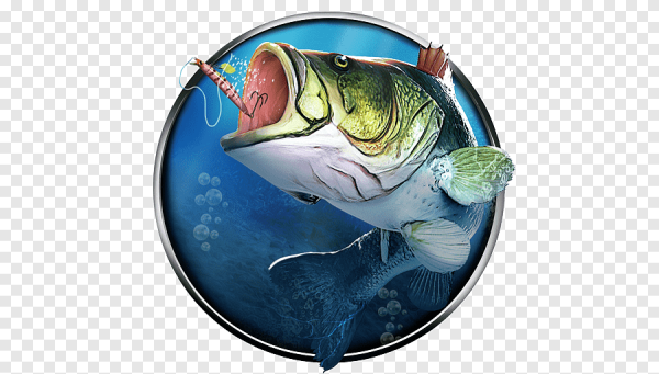 Рыбалка на прозрачном фоне