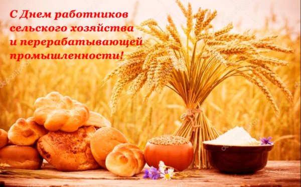 Поле пшеницы хлеб молоко