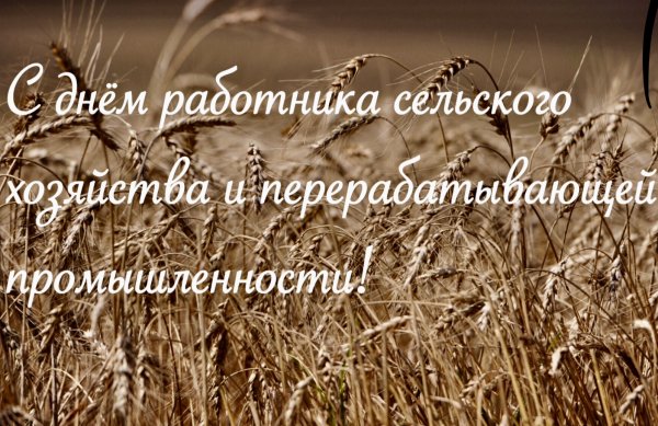 С днем работника сельского хозяйства гиф