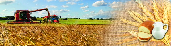 День работника сельского хозяйства баннер