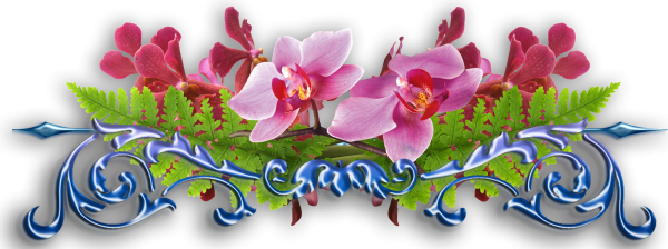 Разделители с днем рождения