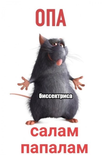 Крыса юмор