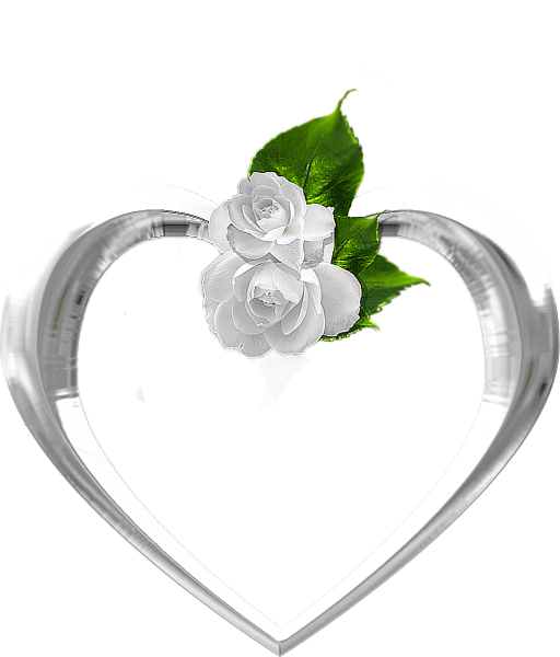 Серебряная свадьба на прозрачном фоне