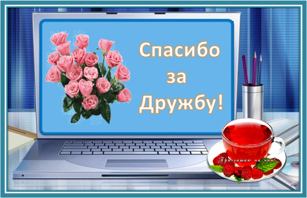 Открытки спасибо за дружбу