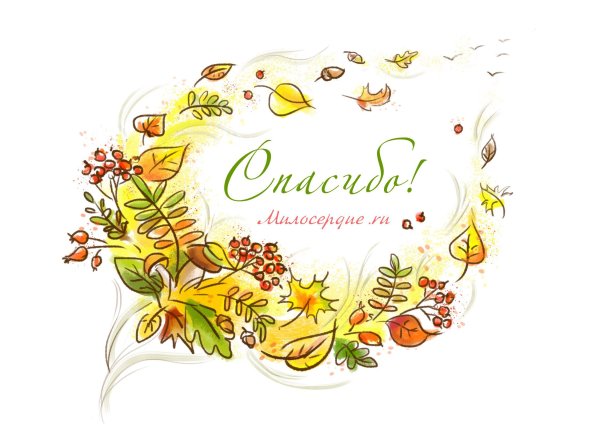 Спасибо за поддержку