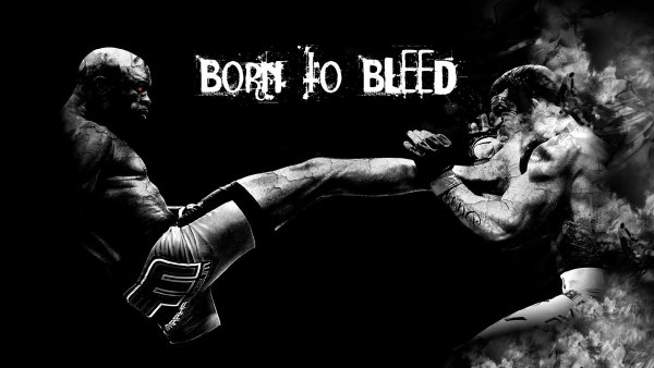 ММА заставка