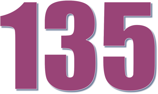 Цифра 133