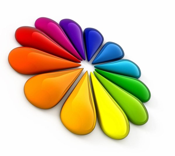 Ромашка с разноцветными лепестками