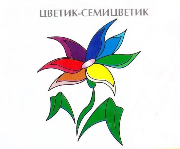 Цветик семицветик рисунок
