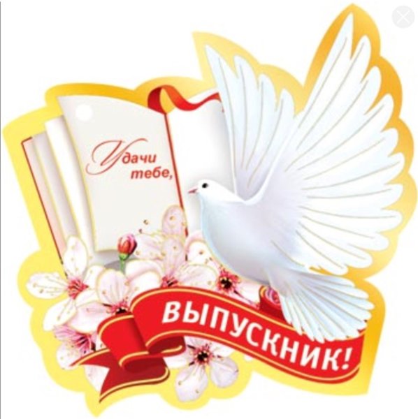 Голуби на последний звонок