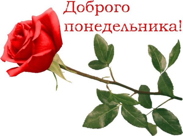 Доброго понедельника надпись