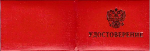Бланк удостоверение без герба