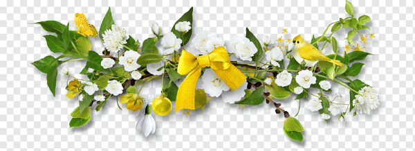 Полоска из весенних цветов