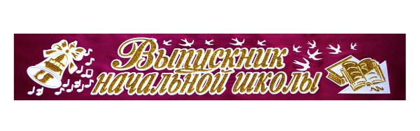 Выпускник начальной школы надпись