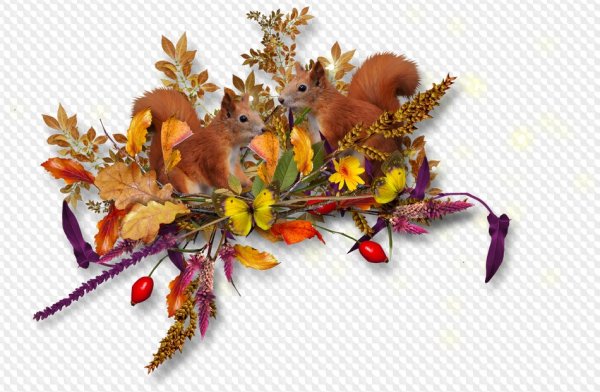 Атрибуты осени на прозрачном фоне