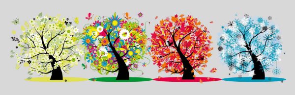 Времена года на дереве