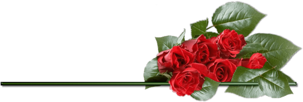 Разделители розы