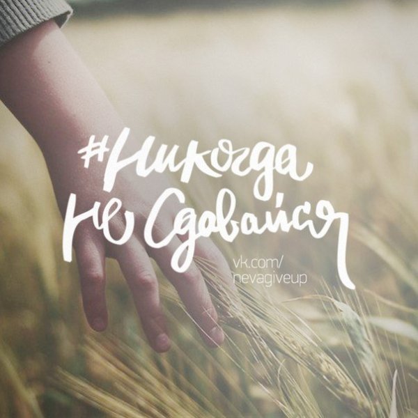 Никогда не сдавайся надпись