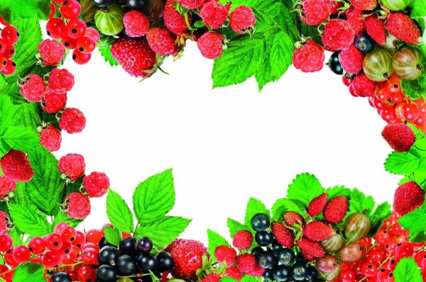 Рамка ягодки
