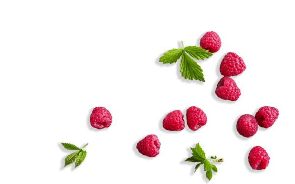 Ягоды на прозрачном фоне