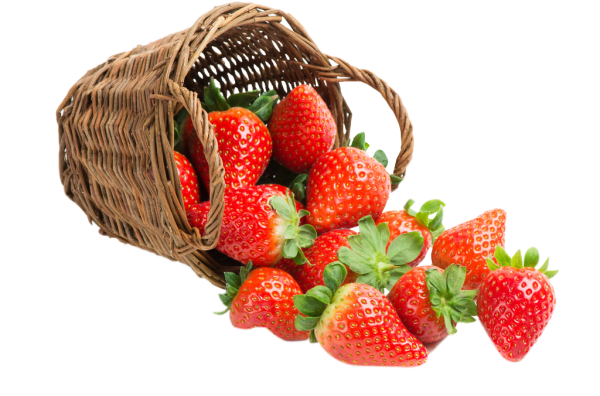 Клубника в лукошке